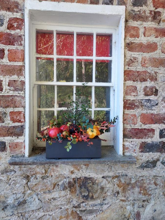 Lynam Cottage Ashford Extérieur photo